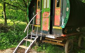 Genuine Gypsy Hut And Glamping Experience - In The Heart Of Cornwall