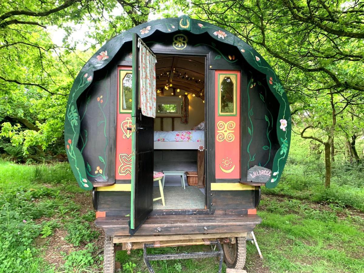 Genuine Gypsy Hut And Glamping Experience - In The Heart Of Cornwall Hotel Gunnislake Exterior photo